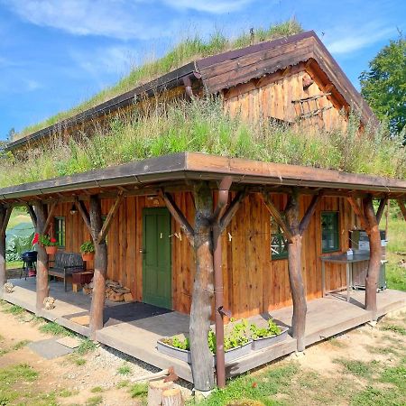 Chalet Boruvka - Biofarma Na Samote V Lesich Benesov  Exterior foto