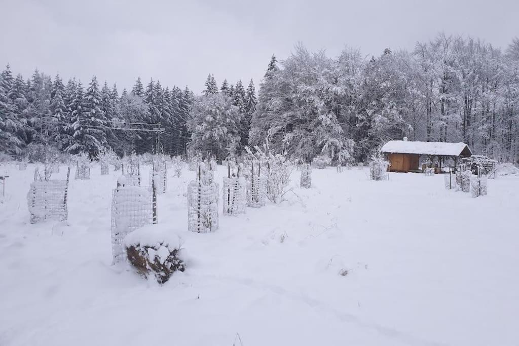 Chalet Boruvka - Biofarma Na Samote V Lesich Benesov  Exterior foto