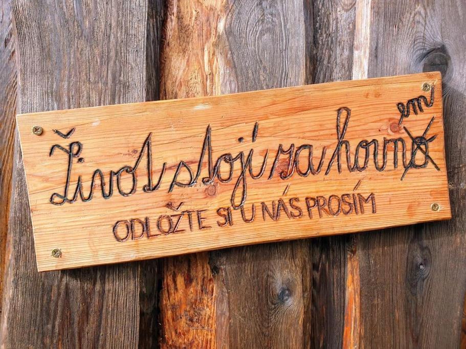 Chalet Boruvka - Biofarma Na Samote V Lesich Benesov  Exterior foto